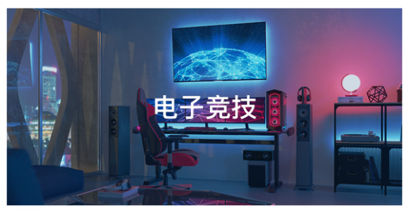 電子競(jìng)技